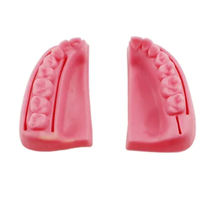Gum & Oral Suture Practice Pad