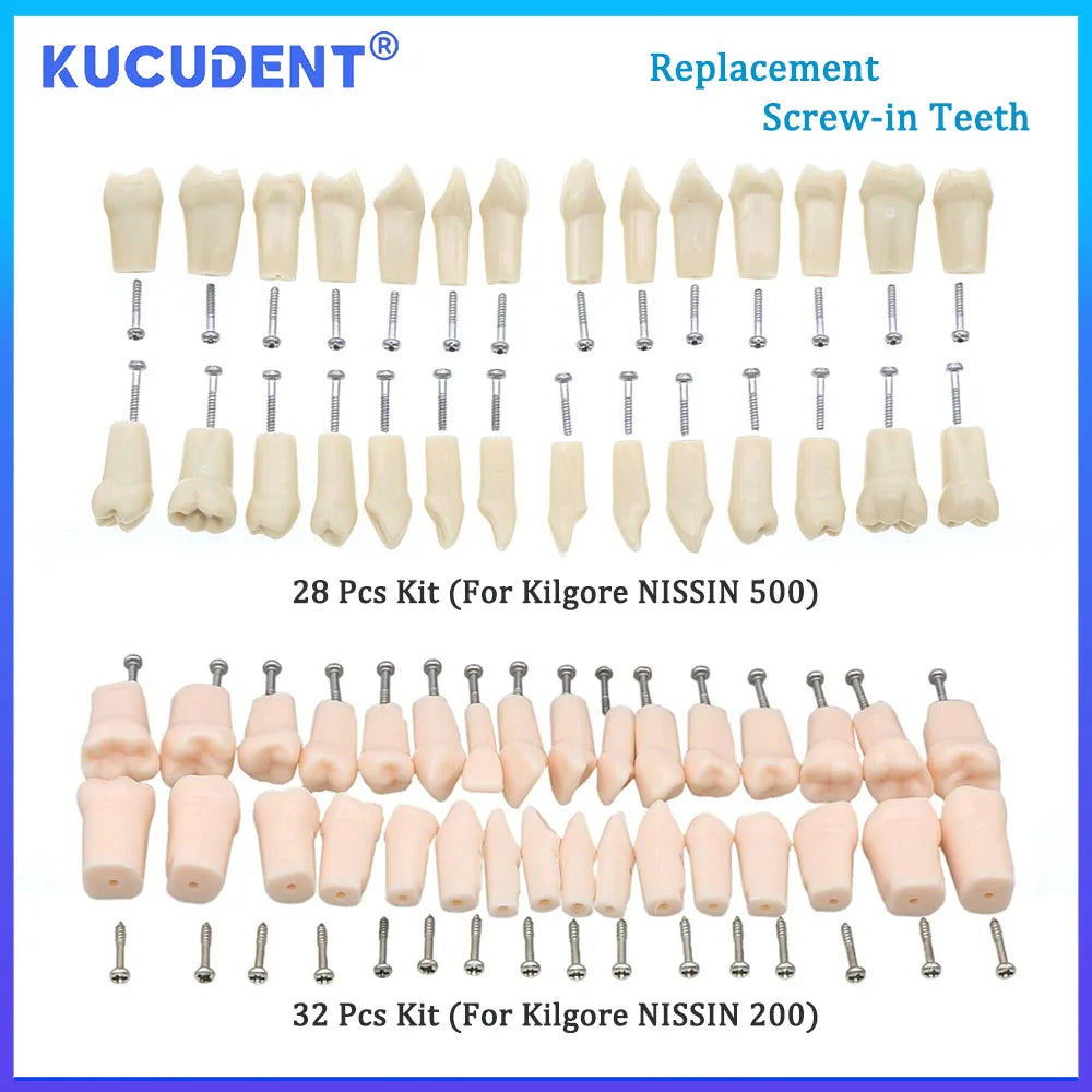 28/32 Pcs Typodont Replacement Teeth Screw-in Fit Kilgore NISSIN 200/500 Type Dental Removeable Dentist Teaching Training Model