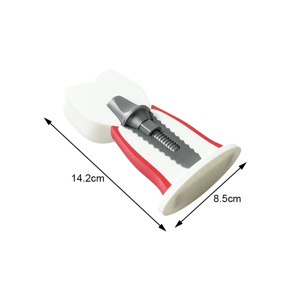 Detachable Implant Demonstration Model (Large)