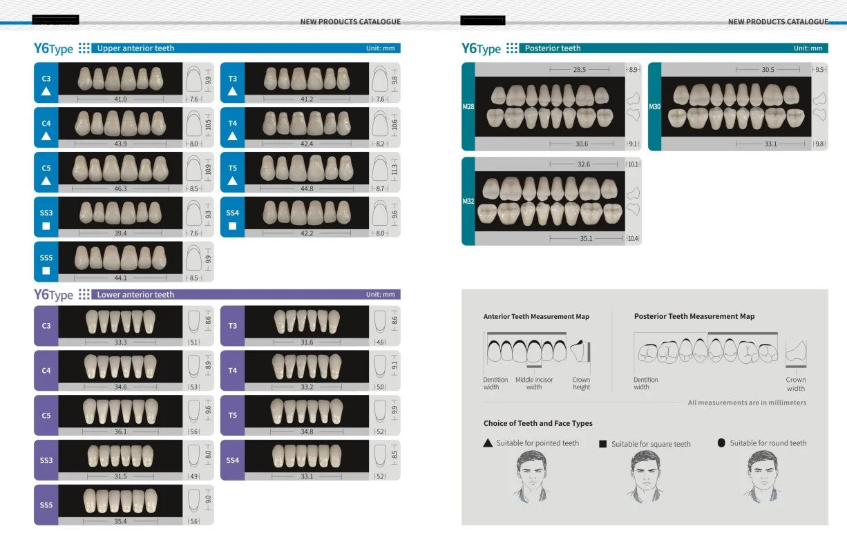 Acrylic Denture Teeth Set (Shades A1–D4, Upper/Lower)