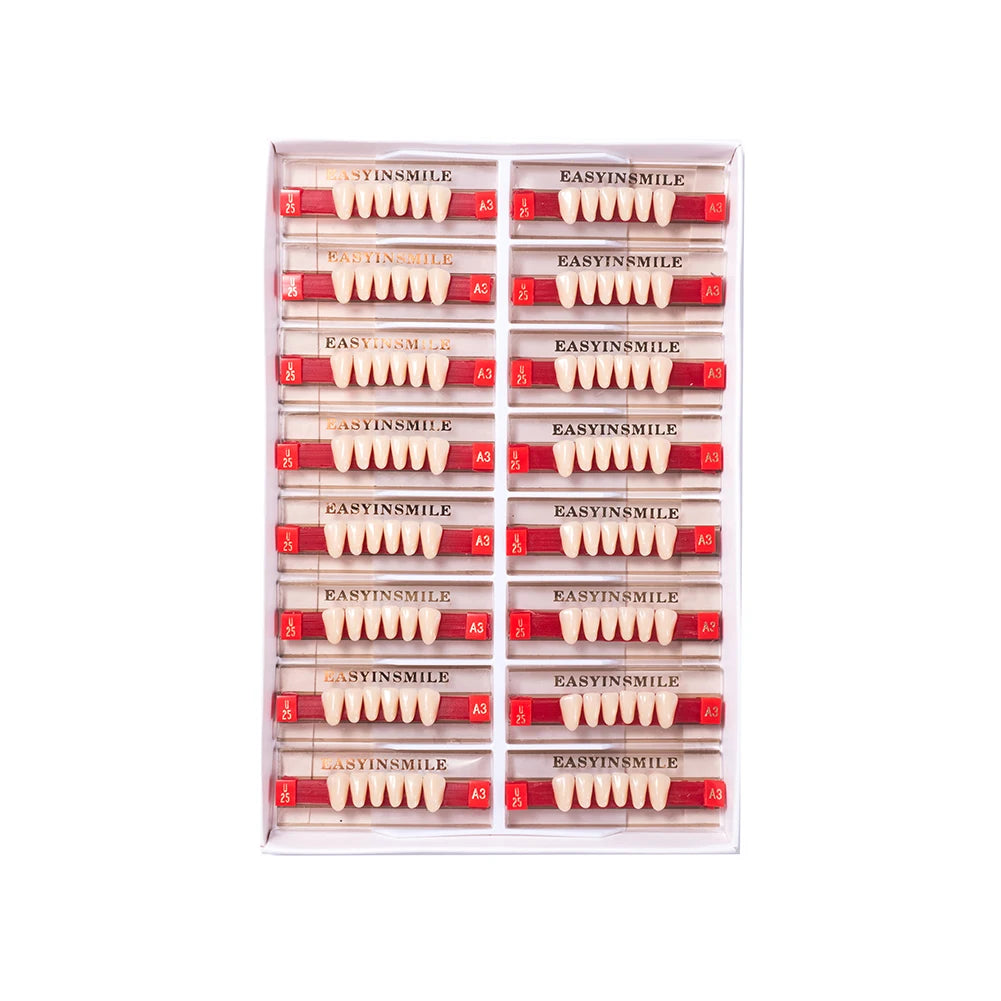 Acrylic Denture Teeth Set (Shades A1–D4, Upper/Lower)