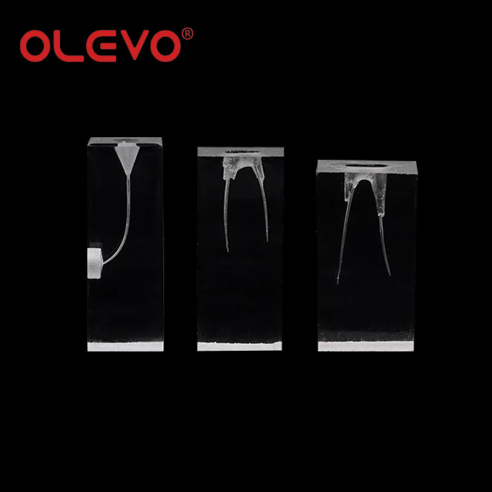 OLEVO Endo Teeth Dental Root Canal Practice Block Study Model RCT Pulp Cavity Training Clear Resin Demo Student Study Teaching