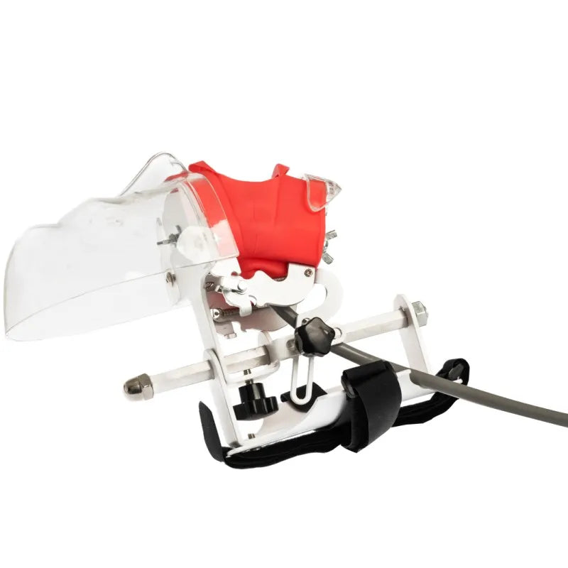 Dental Phantom Head Simulator with Typodont