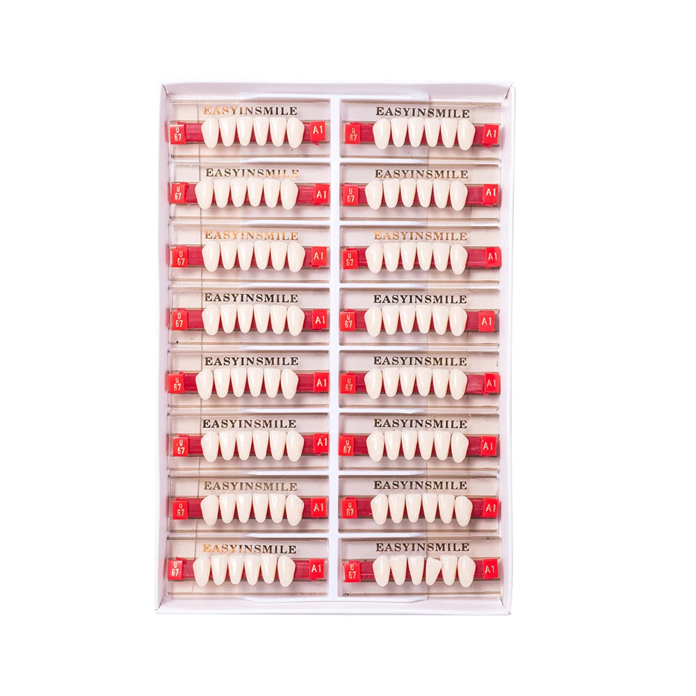 Acrylic Denture Teeth Set (Shades A1–D4, Upper/Lower)