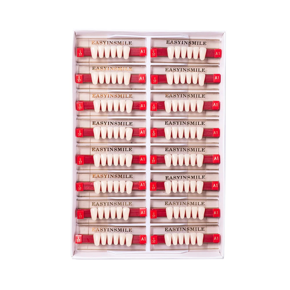 Acrylic Denture Teeth Set (Shades A1–D4, Upper/Lower)