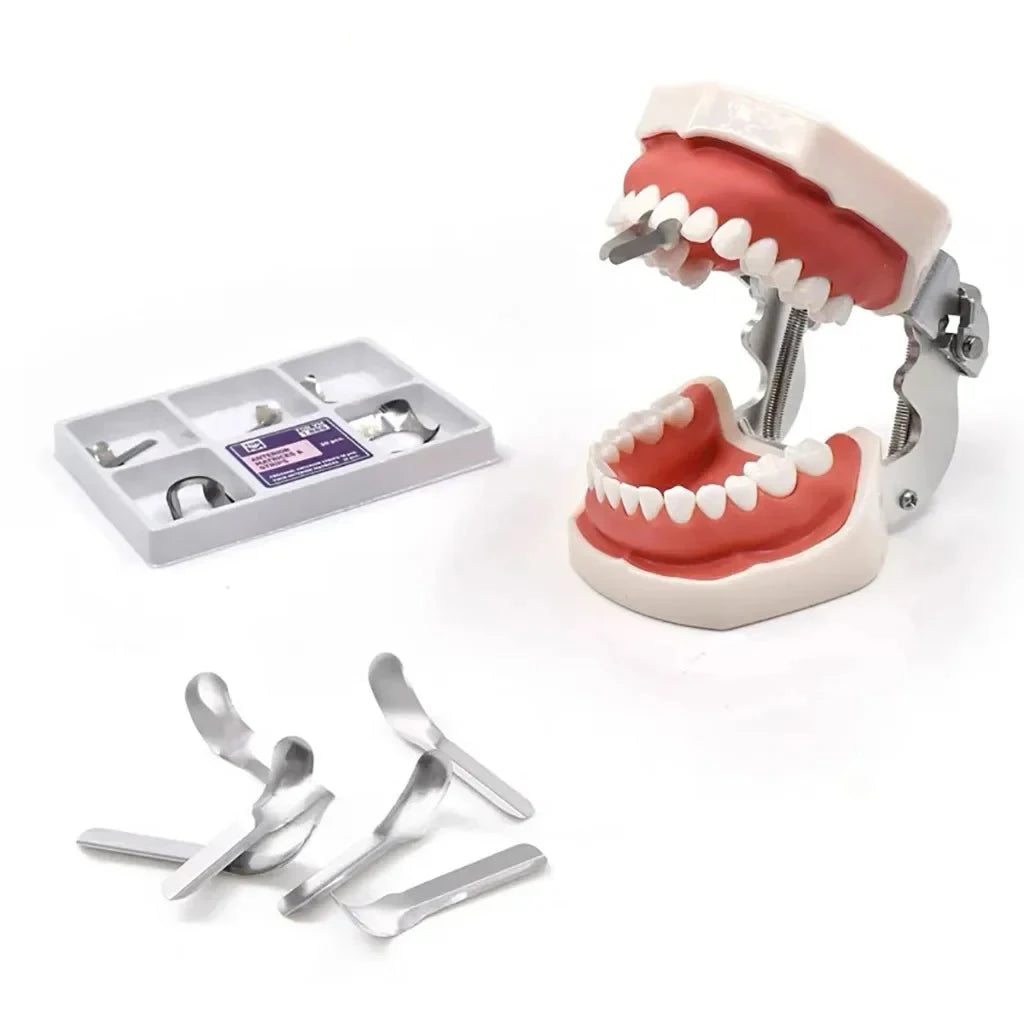 12pcs/30pcs/box Dental Twin-Sided Anterior Matrix Systems for Proximal Restoration Large & Small Sizes for Composite Filling