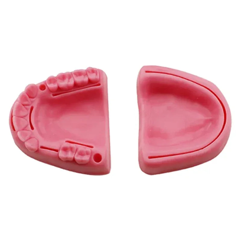 Gum & Oral Suture Practice Pad