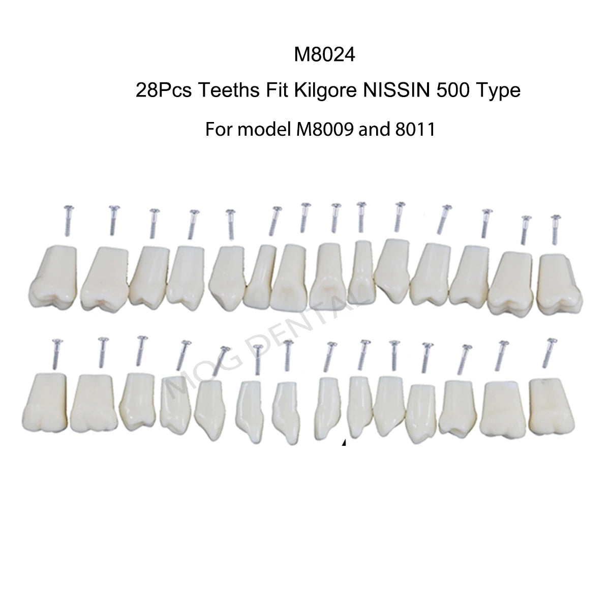 Dental Teeth Model Implant with Removable Dental Education Model for Dentistry Laboratory Demo Studying Dentistry Products Tool
