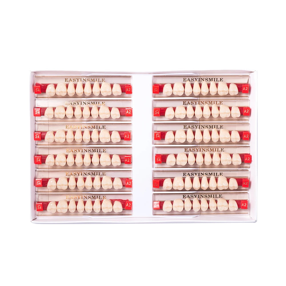 Acrylic Denture Teeth Set (Shades A1–D4, Upper/Lower)