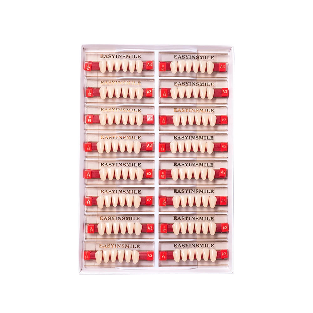 Acrylic Denture Teeth Set (Shades A1–D4, Upper/Lower)