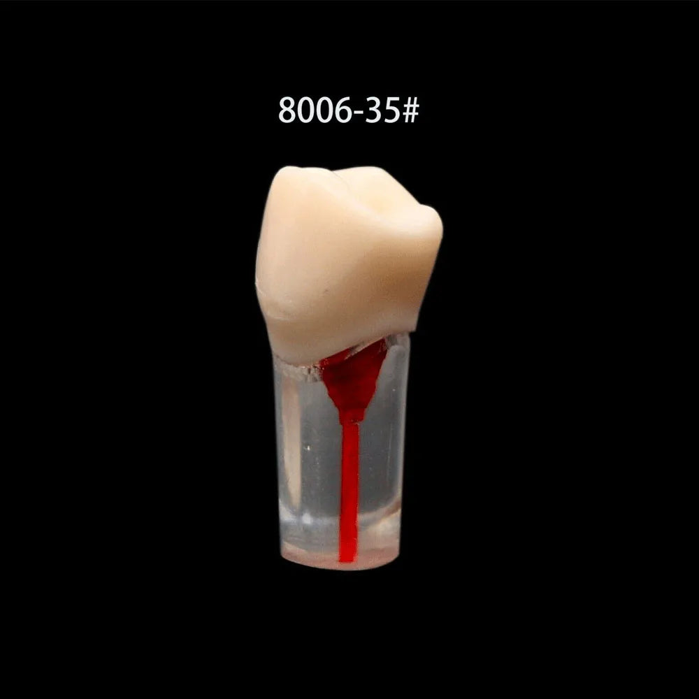 OLEVO 10 Pcs Dental RCT Endo Teeth Model Endodontic Root Canal Block Pulp Cavity Resin Study Practice Endodontic Training M8006