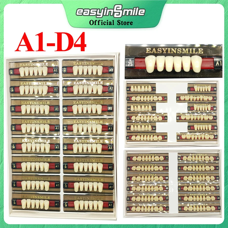 Acrylic Denture Teeth Set (Shades A1–D4, Upper/Lower)