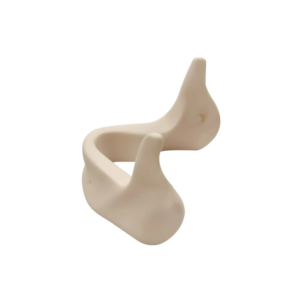 Maxillary Sinus & Implant Teaching Model (Soft Gum)