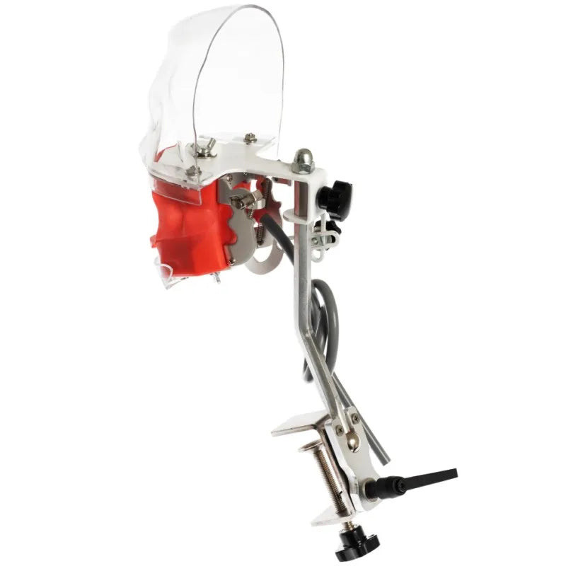 Dental Phantom Head Simulator with Typodont