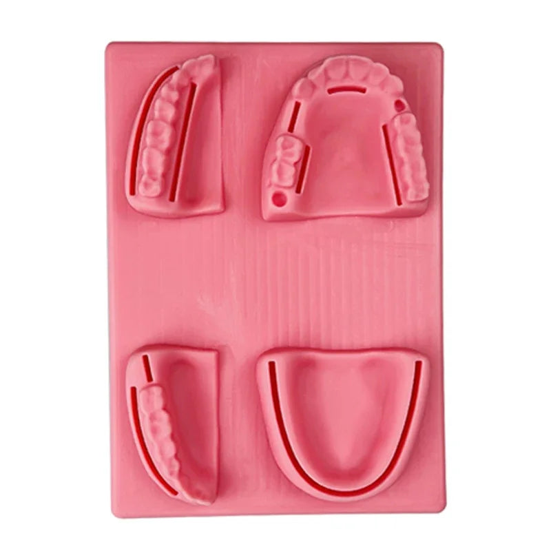 Gum & Oral Suture Practice Pad