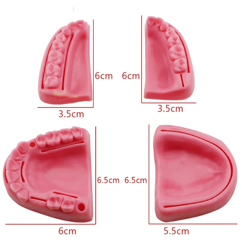 Gum & Oral Suture Practice Pad