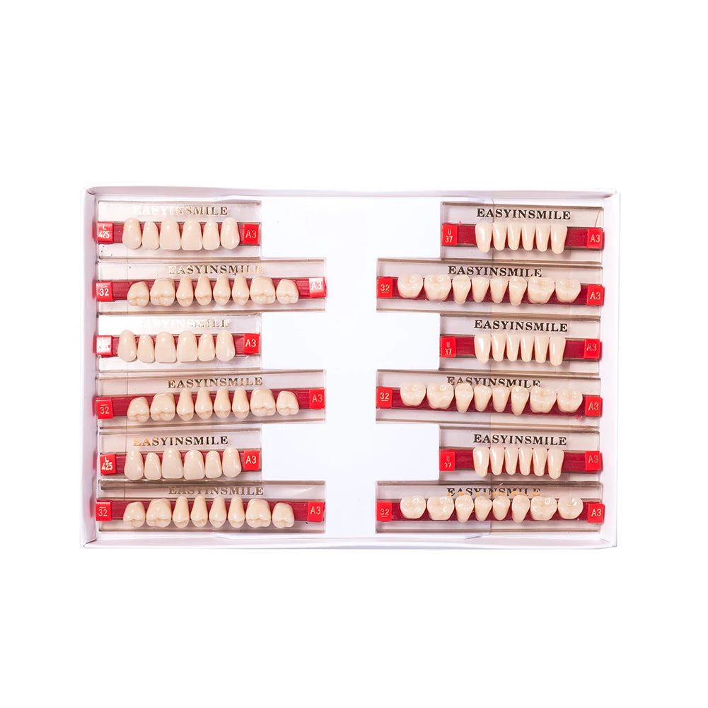 Acrylic Denture Teeth Set (Shades A1–D4, Upper/Lower)