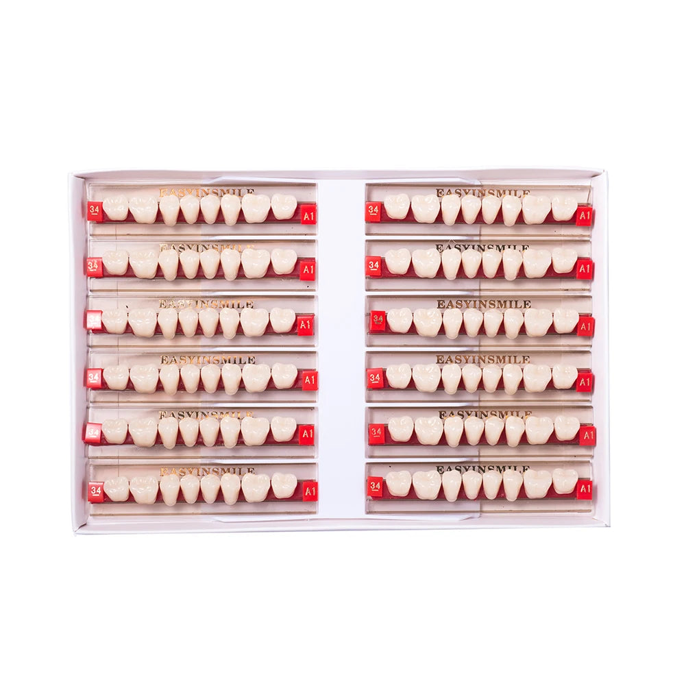Acrylic Denture Teeth Set (Shades A1–D4, Upper/Lower)