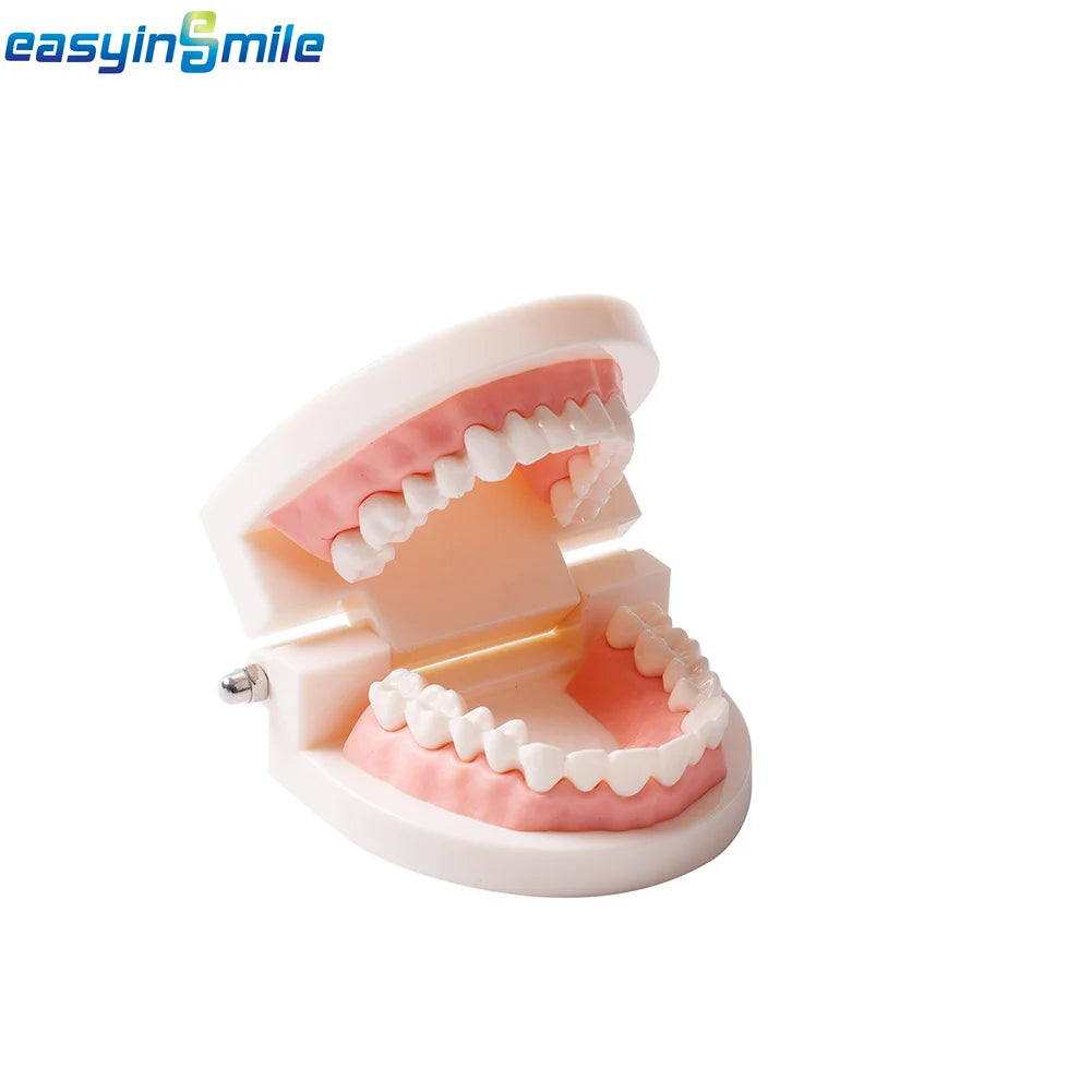 Acrylic Denture Teeth Set (Shades A1–D4, Upper/Lower)