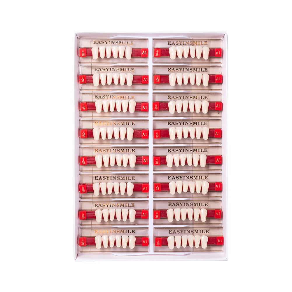 Acrylic Denture Teeth Set (Shades A1–D4, Upper/Lower)