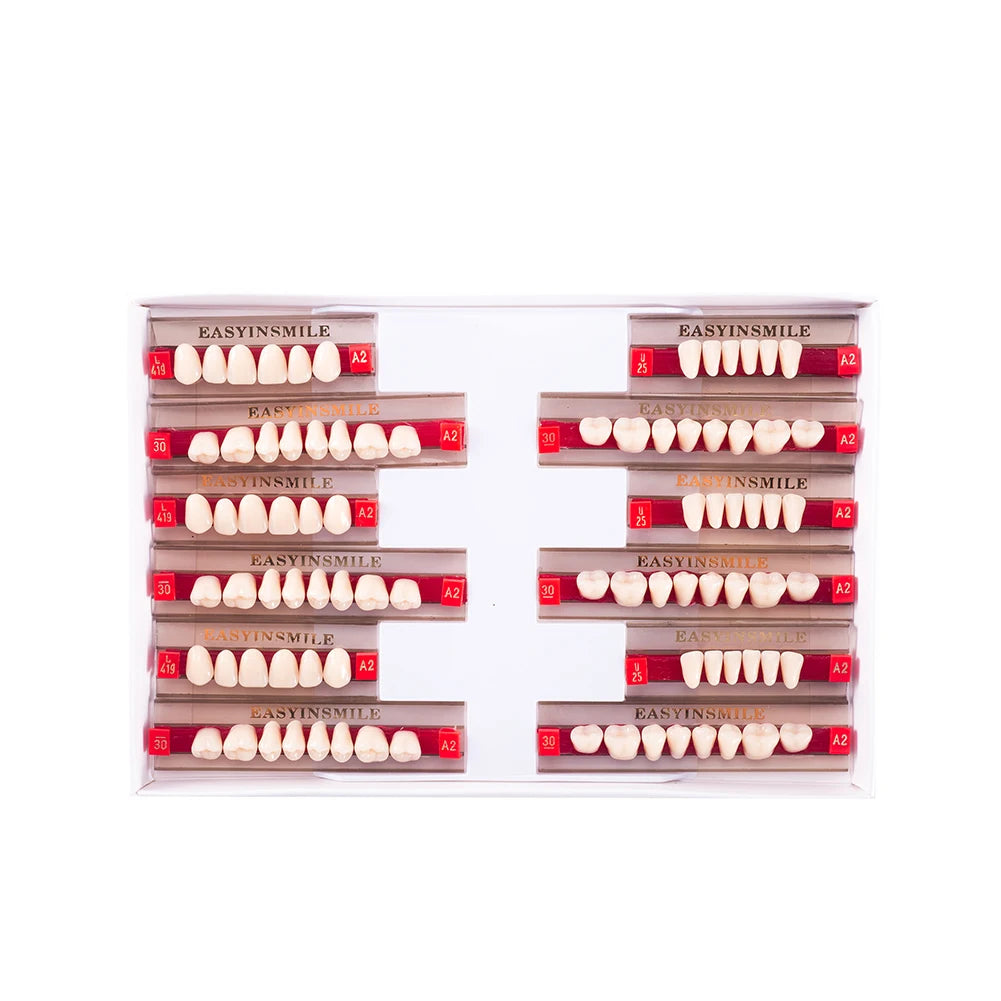 Acrylic Denture Teeth Set (Shades A1–D4, Upper/Lower)