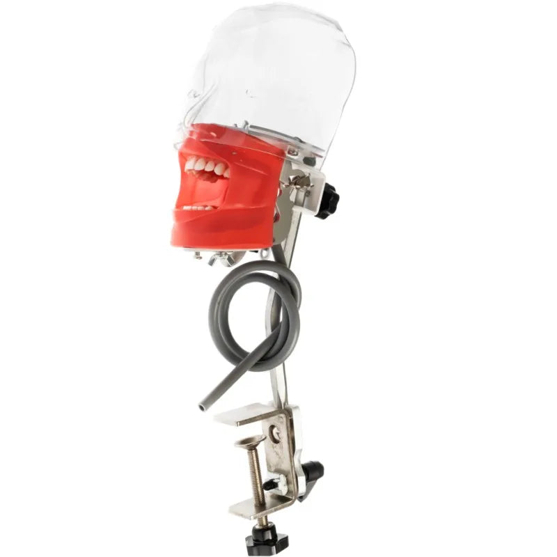 Dental Phantom Head Simulator with Typodont