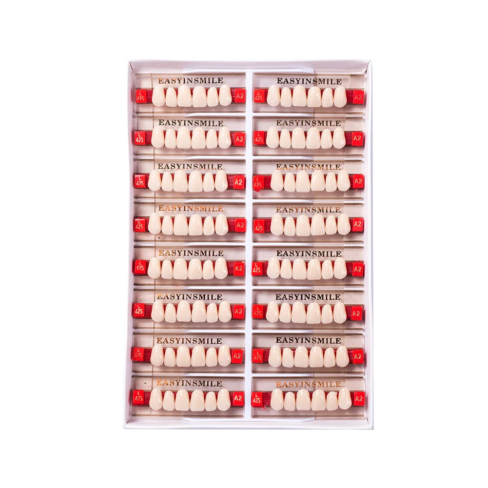 Acrylic Denture Teeth Set (Shades A1–D4, Upper/Lower)