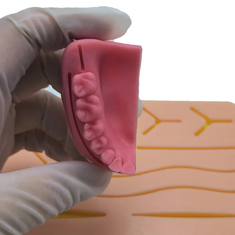 Gum & Oral Suture Practice Pad