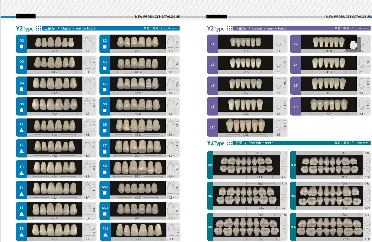 Acrylic Denture Teeth Set (Shades A1–D4, Upper/Lower)