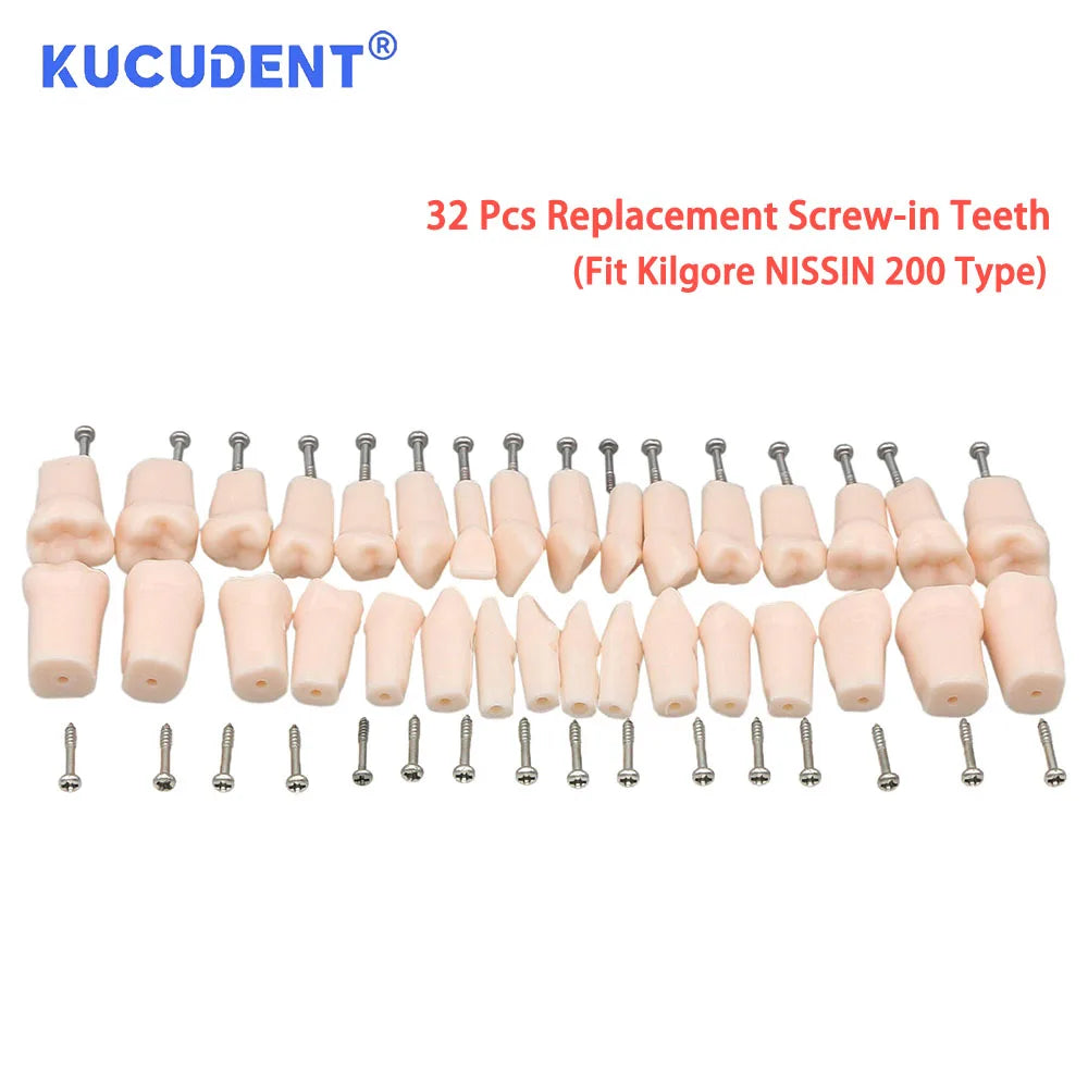 28/32 Pcs Typodont Replacement Teeth Screw-in Fit Kilgore NISSIN 200/500 Type Dental Removeable Dentist Teaching Training Model