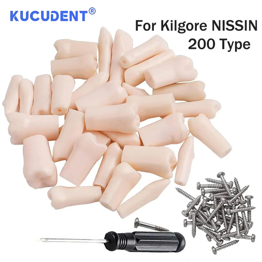 28/32 Pcs Typodont Replacement Teeth Screw-in Fit Kilgore NISSIN 200/500 Type Dental Removeable Dentist Teaching Training Model