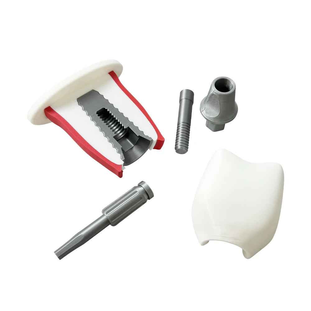 Detachable Implant Demonstration Model (Large)