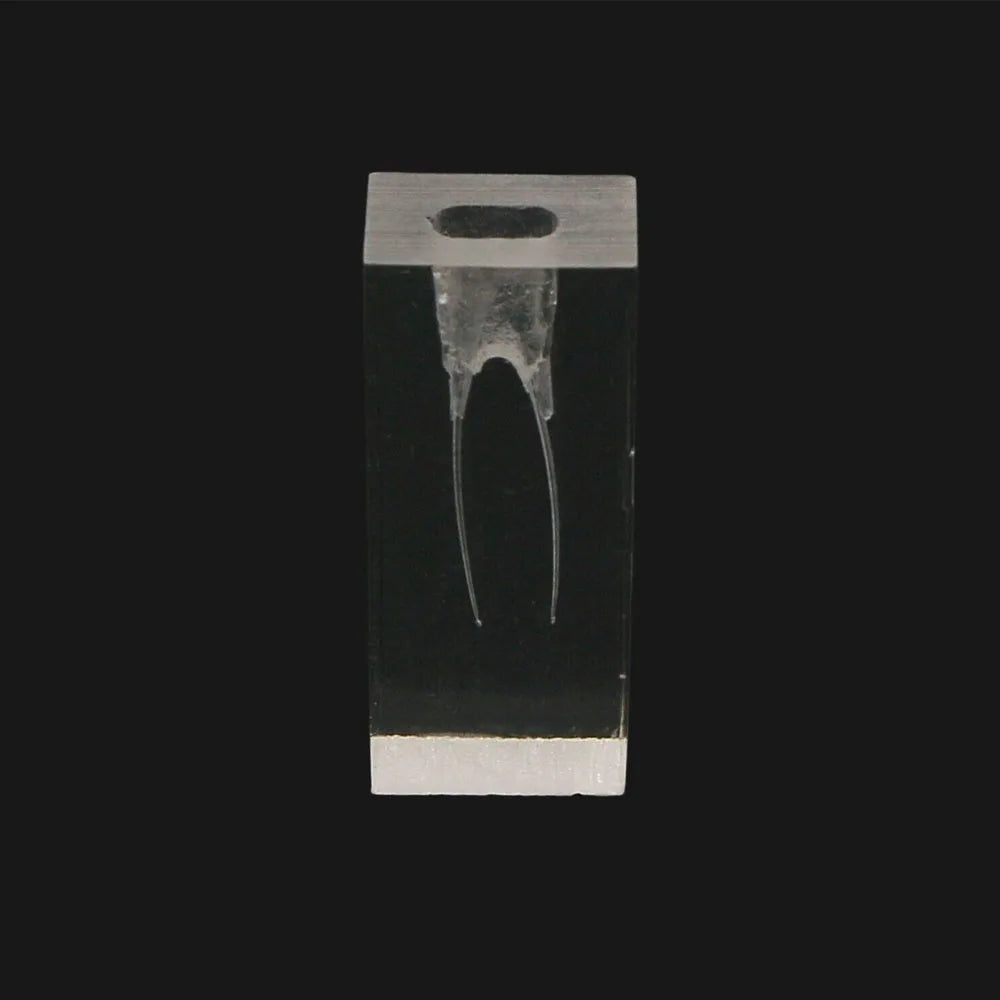 OLEVO Endo Teeth Dental Root Canal Practice Block Study Model RCT Pulp Cavity Training Clear Resin Demo Student Study Teaching
