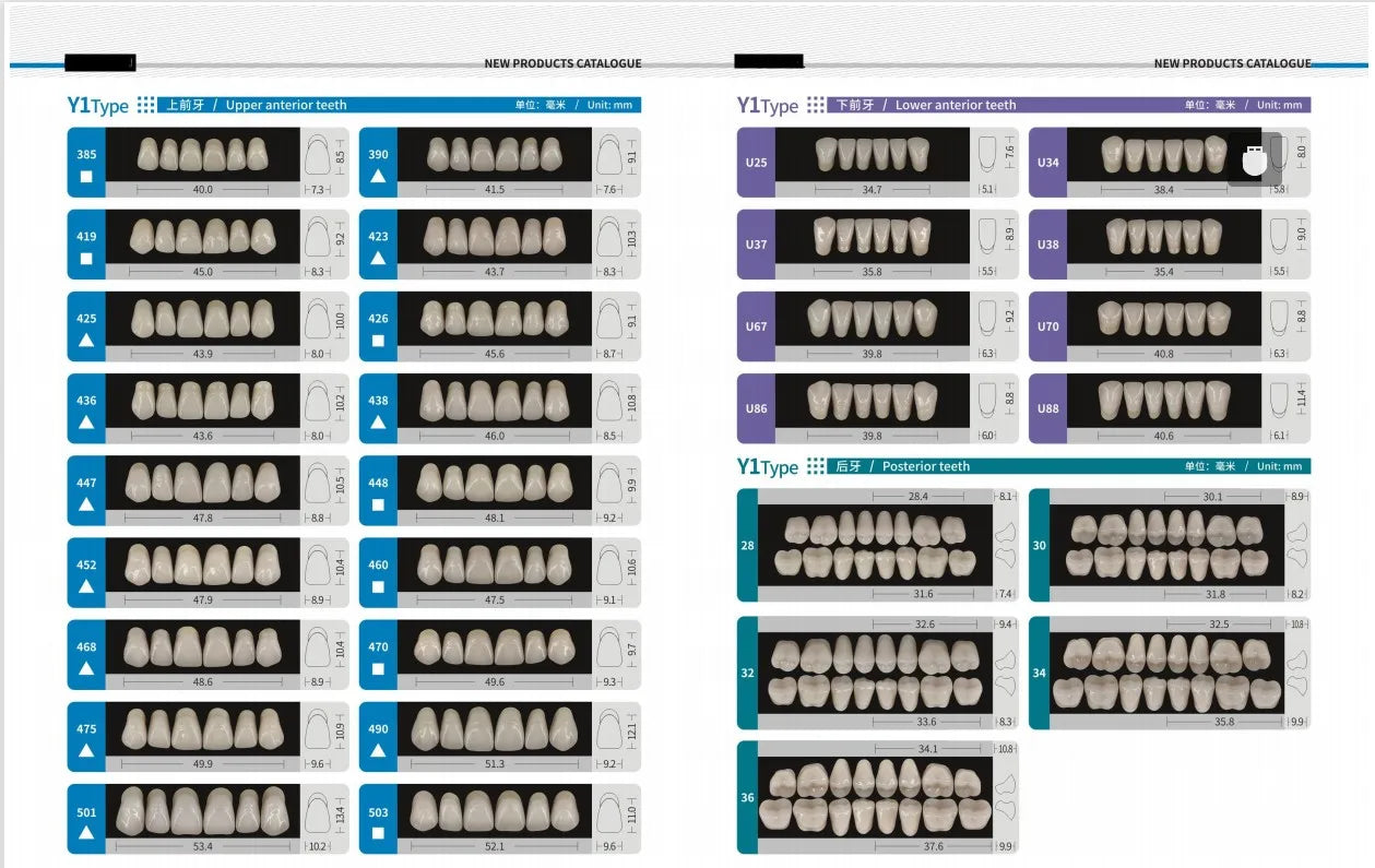 Acrylic Denture Teeth Set (Shades A1–D4, Upper/Lower)
