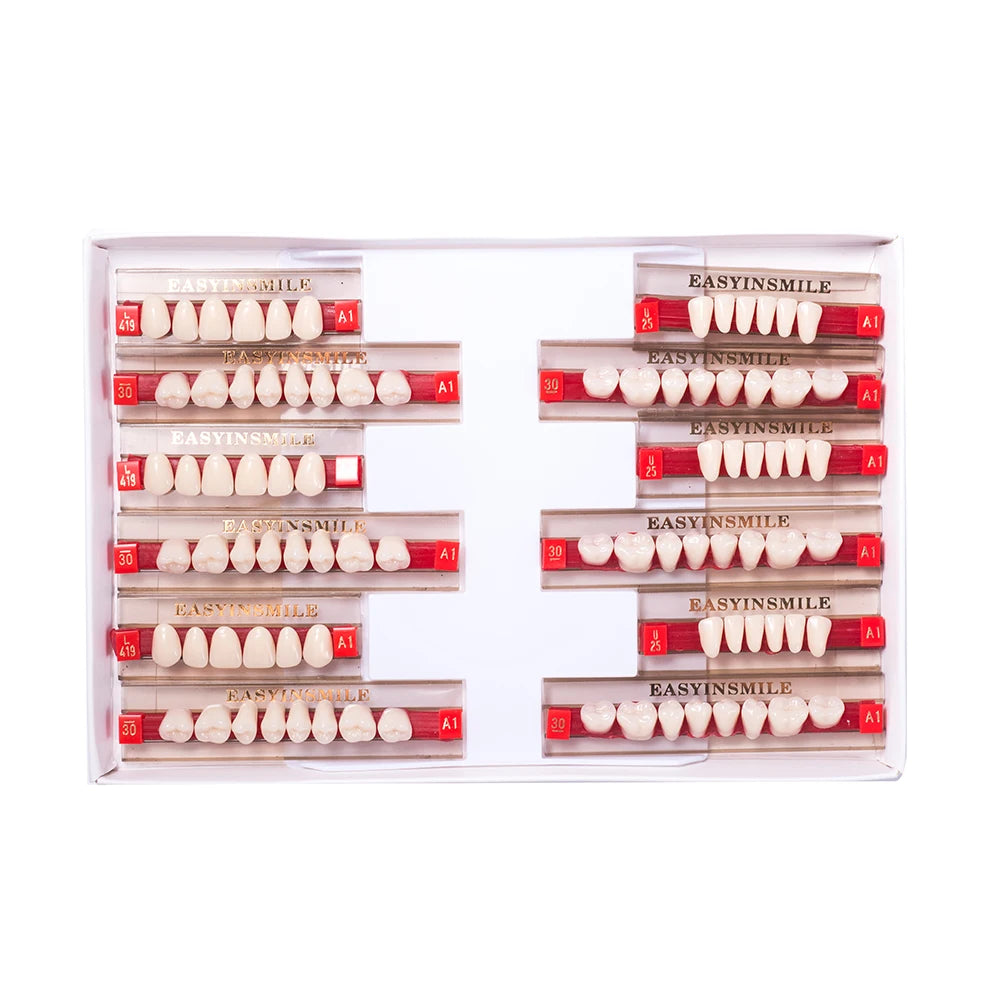 Acrylic Denture Teeth Set (Shades A1–D4, Upper/Lower)