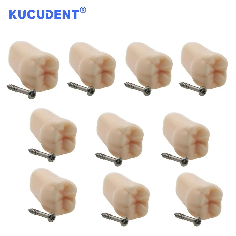 28/32 Pcs Typodont Replacement Teeth Screw-in Fit Kilgore NISSIN 200/500 Type Dental Removeable Dentist Teaching Training Model
