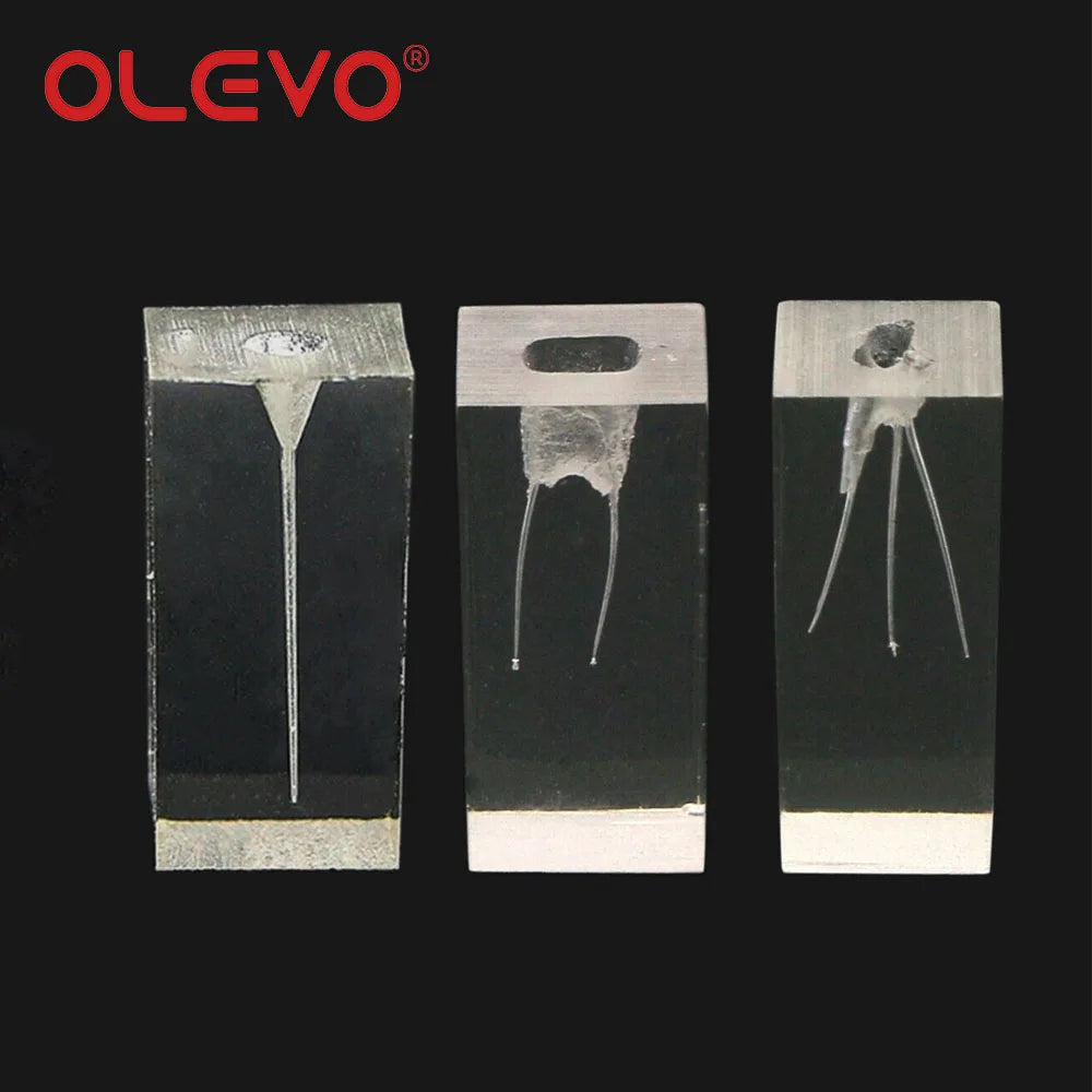 OLEVO Endo Teeth Dental Root Canal Practice Block Study Model RCT Pulp Cavity Training Clear Resin Demo Student Study Teaching
