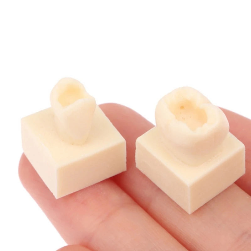 8Pcs Dental Resin Filling Practice Model Posterior Teeth Cavity Hole Restoration Student Training Studying Model