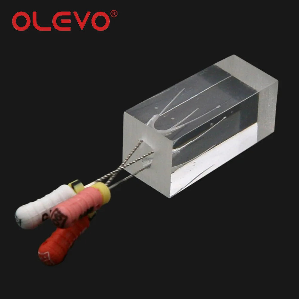 OLEVO Endo Teeth Dental Root Canal Practice Block Study Model RCT Pulp Cavity Training Clear Resin Demo Student Study Teaching