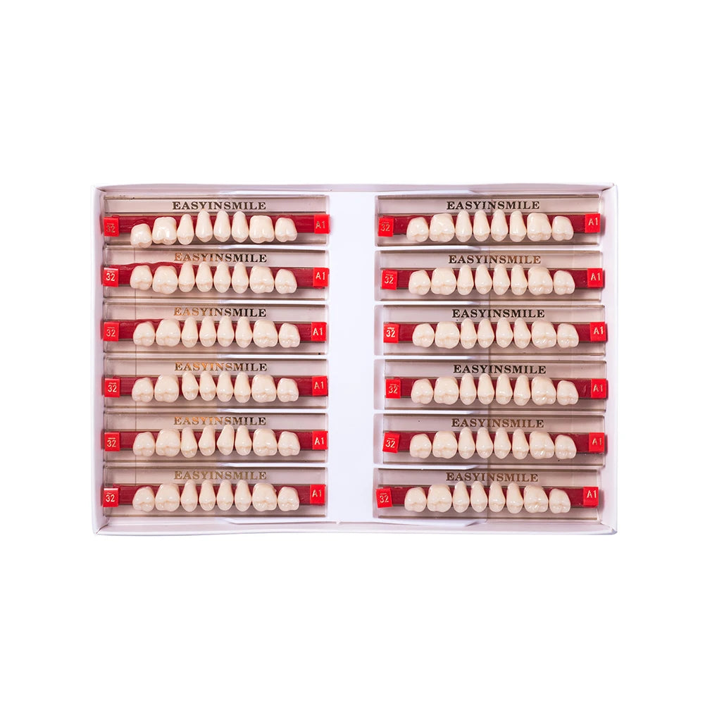 Acrylic Denture Teeth Set (Shades A1–D4, Upper/Lower)
