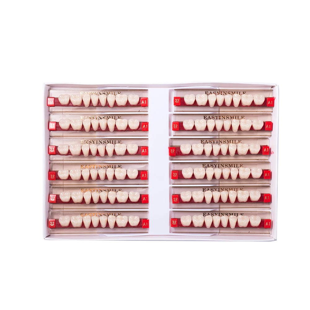 Acrylic Denture Teeth Set (Shades A1–D4, Upper/Lower)