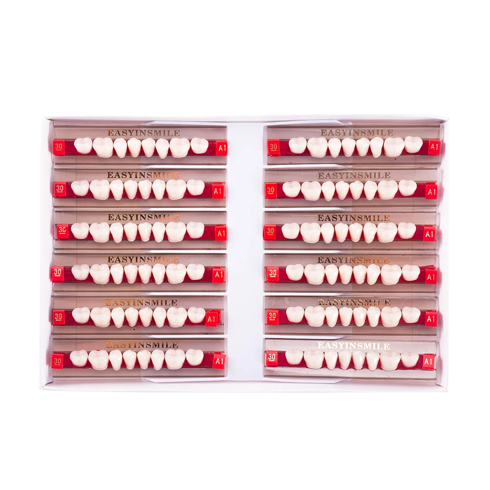 Acrylic Denture Teeth Set (Shades A1–D4, Upper/Lower)