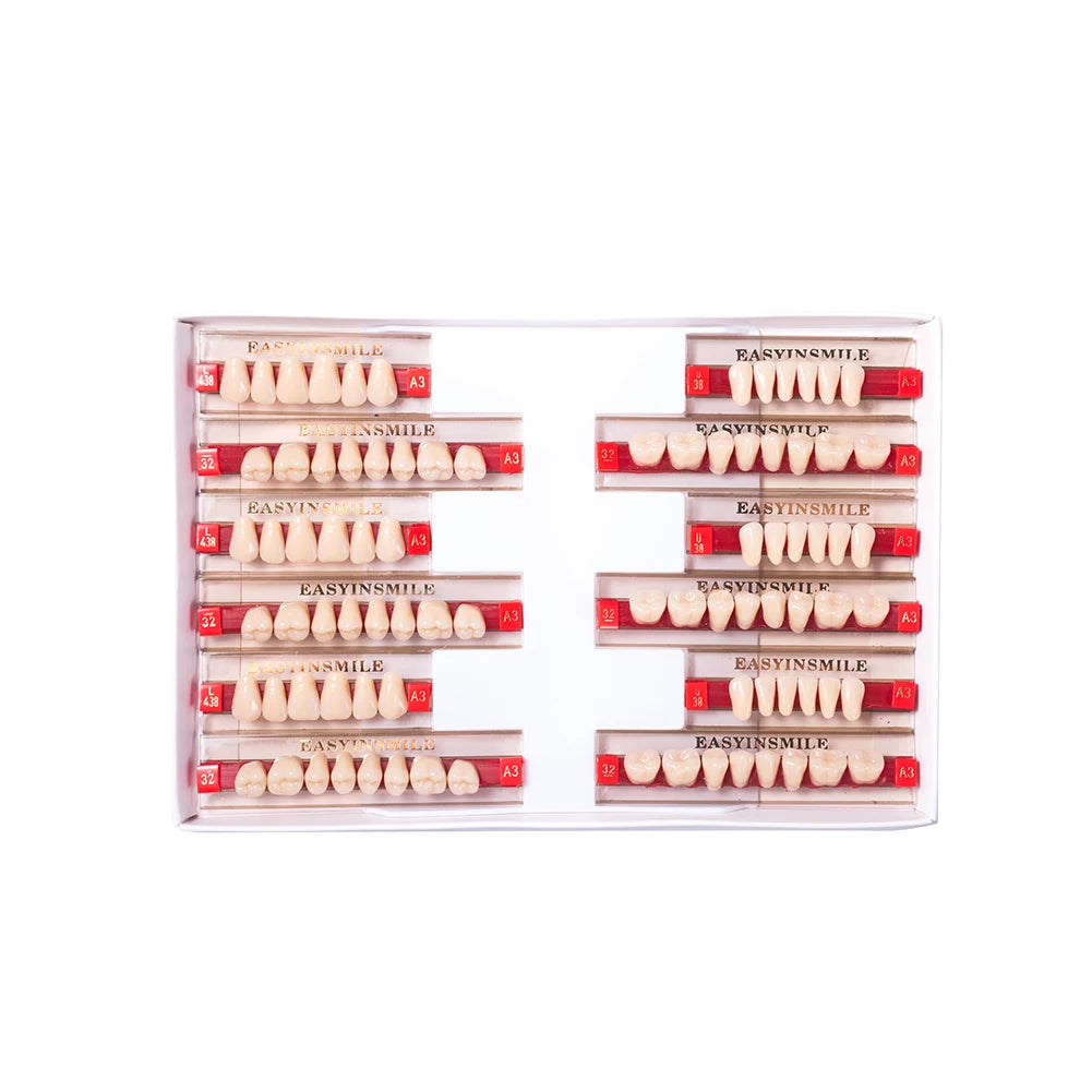 Acrylic Denture Teeth Set (Shades A1–D4, Upper/Lower)