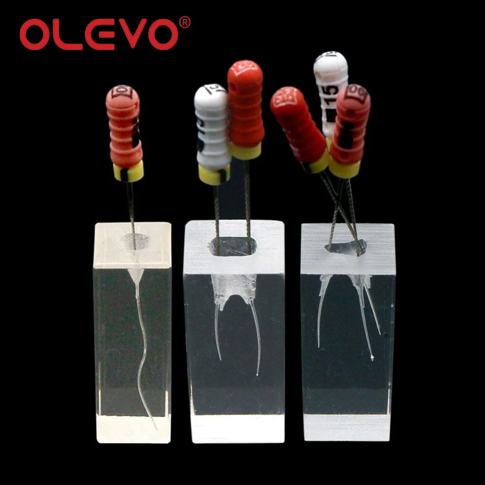 OLEVO Endo Teeth Dental Root Canal Practice Block Study Model RCT Pulp Cavity Training Clear Resin Demo Student Study Teaching