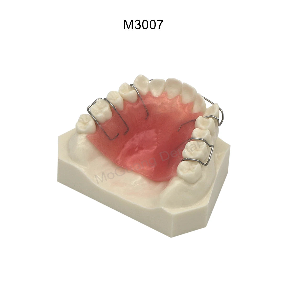Dental Teeth Model Implant with Removable Dental Education Model for Dentistry Laboratory Demo Studying Dentistry Products Tool